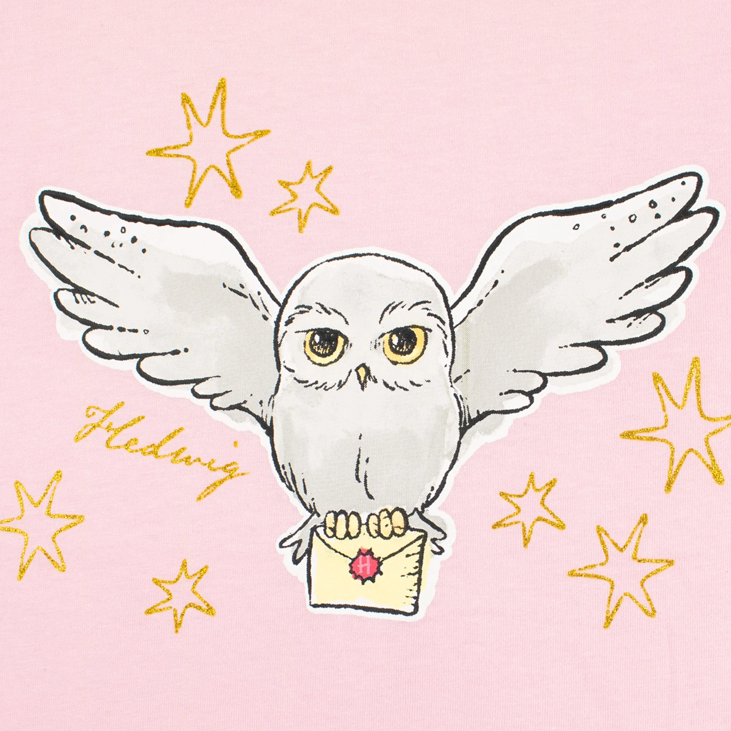 Harry Potter Hedwig T-Shirt 2 Pack